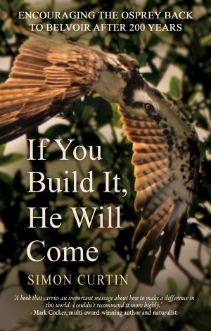 Simon Curtin - If You Build It, He Will Come