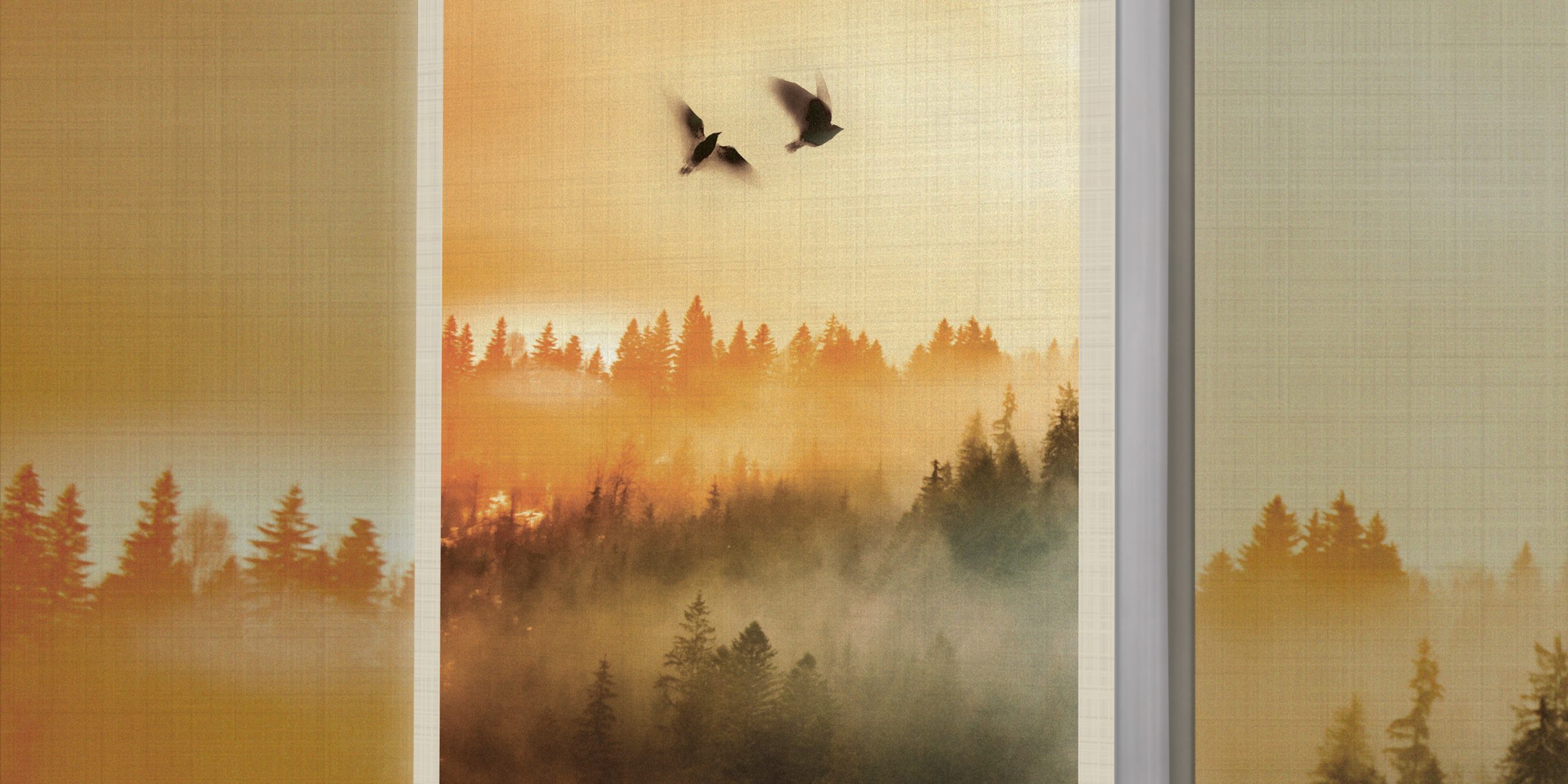 Alsatia – Cover Reveal Alsatia