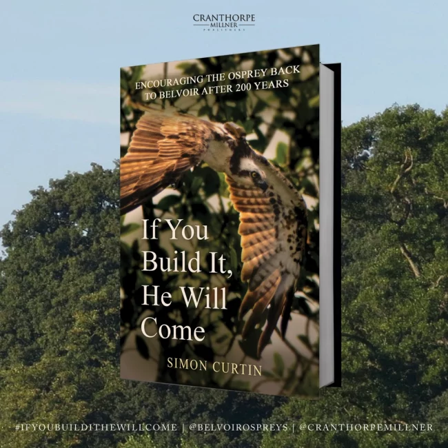If You Build It He Will Come cover reveal