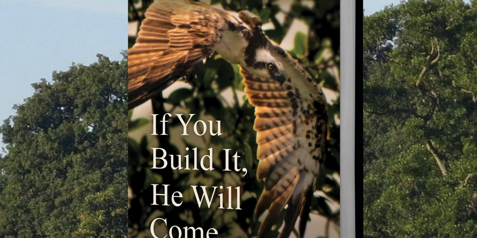 If You Build It He Will Come If You Build It He Will Come cover reveal