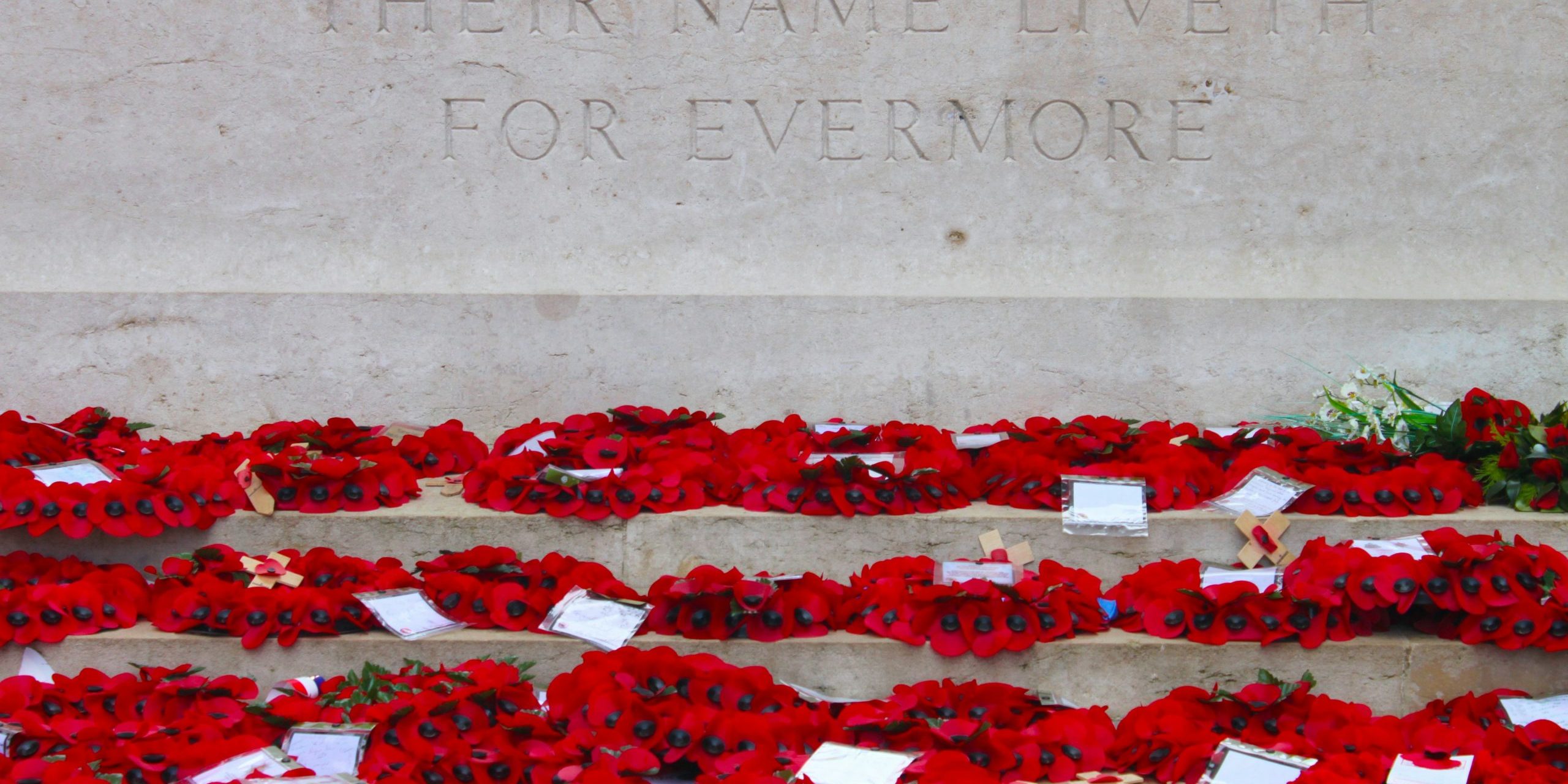 Our Authors Thoughts for Remembrance Day